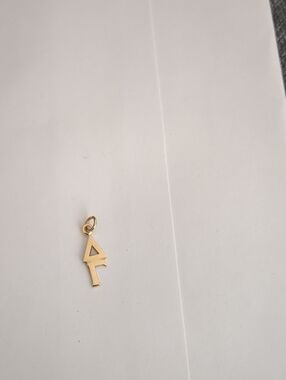 Delta Gamma Pendant Charm - Women Jewelry - 10K Gold